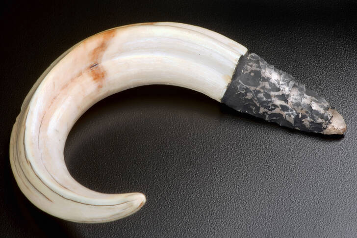Weapons for hunting
