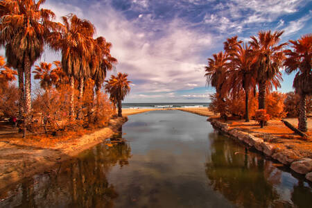 Palm-lined canal in Cambrils