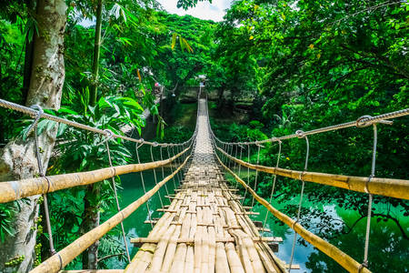 Puente colgante de bambú