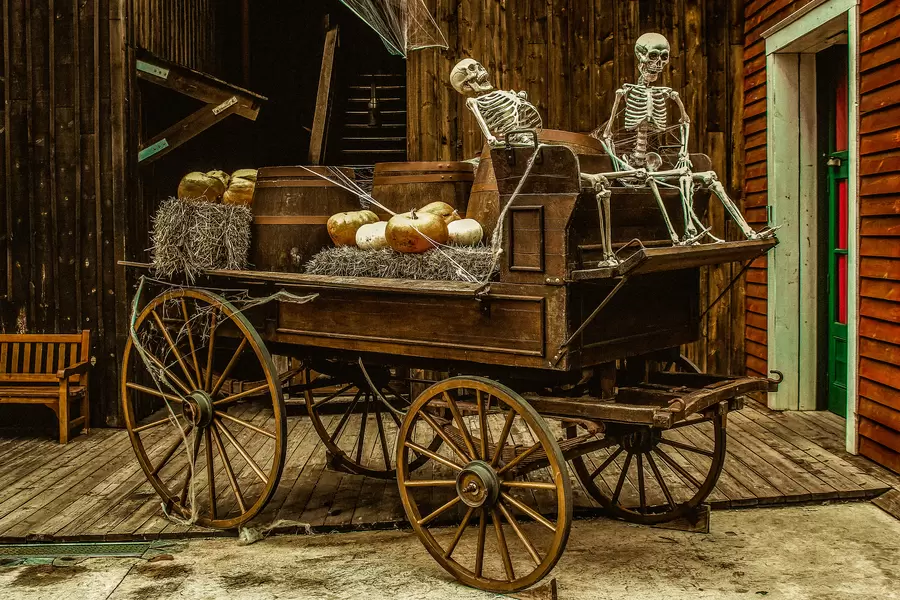 Oude wagen met twee skeletten