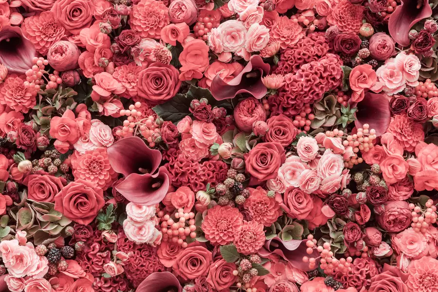Harmonia de flores