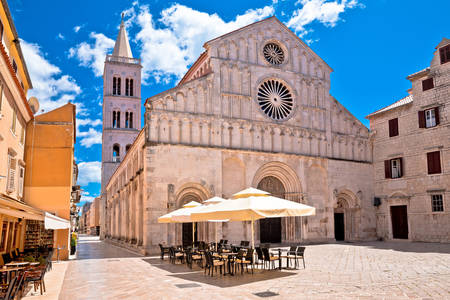 Cathedral of St. Anastasia in Zadar
