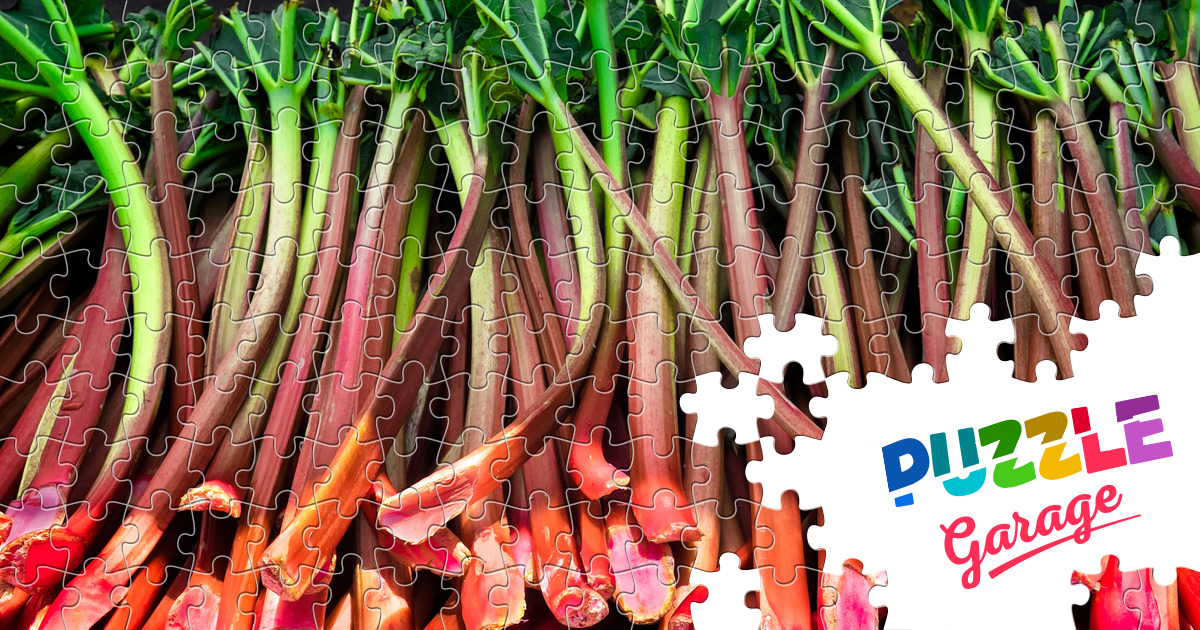 Rhubarb stalks Jigsaw Puzzle (Plants, Vegetables) Puzzle Garage