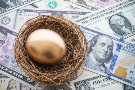 Golden egg in a nest on a background of dollars