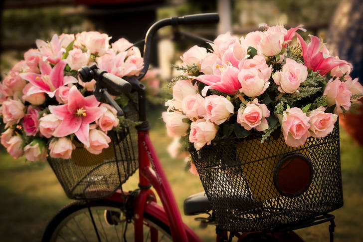 Flowers in bicycle baskets