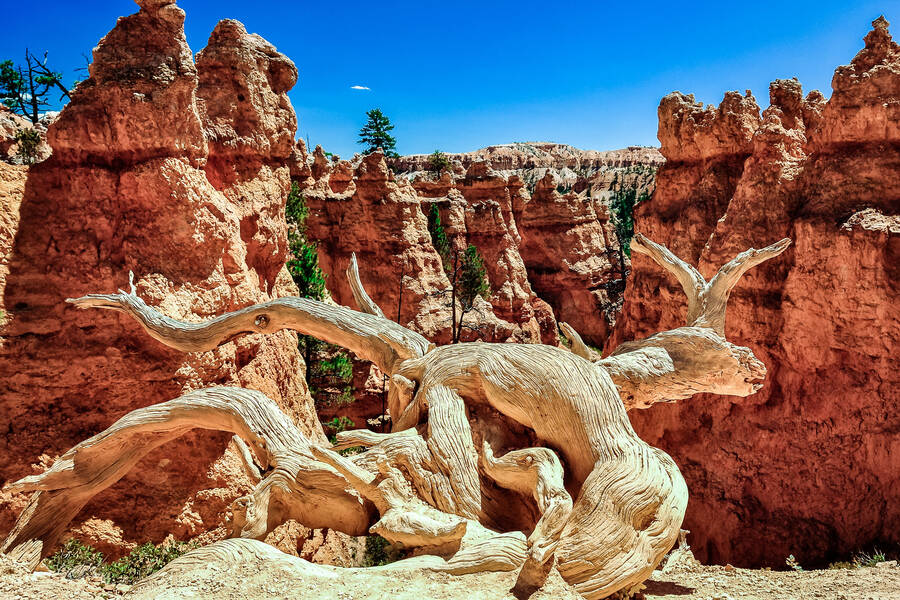 Puzzle Online Spielen Kostenlos Puzzle Garage