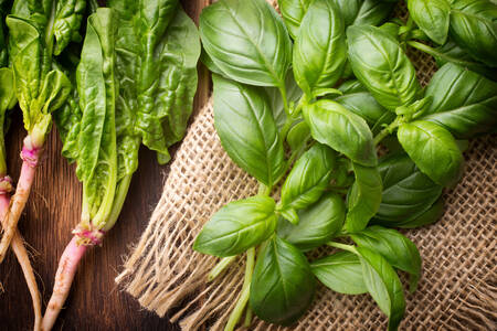 Spinach and basil