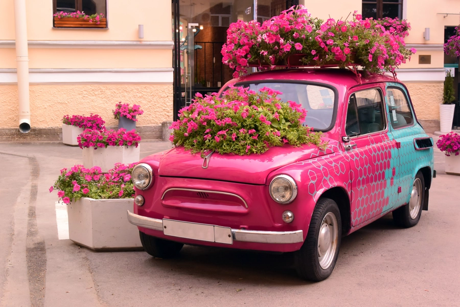 Auto rosa con fiori