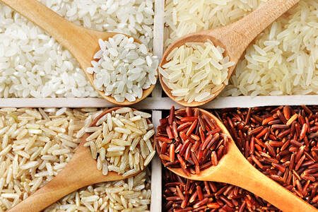 Različita riža