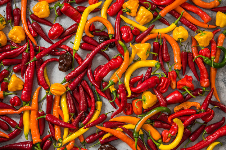 Chili and habanero peppers