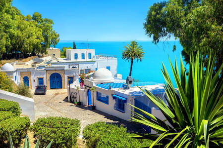 Sidi Bou Said, Tunisia