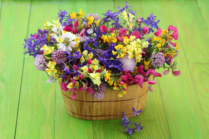 Bouquet de fleurs des champs