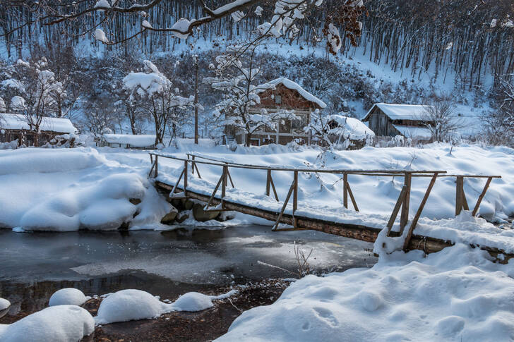 Snow-covered village of Ribaritsa