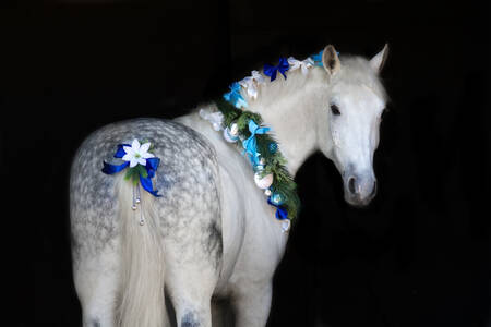 花冠をつけた白い馬