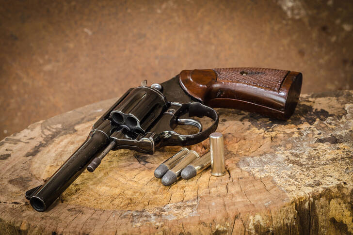Starý revolver na kládě
