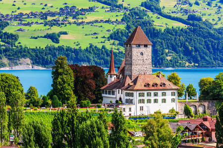 Castelo Spitz perto do Lago Thun