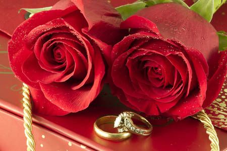 Обручальные кольца и розы