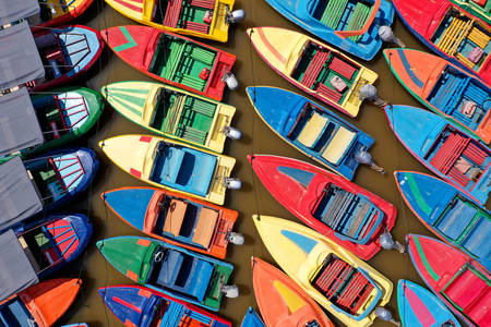 Multi-colored motor boats