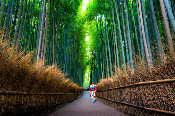 Bosque de bambu em Arashiyama