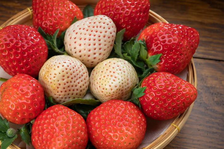 White and red strawberries