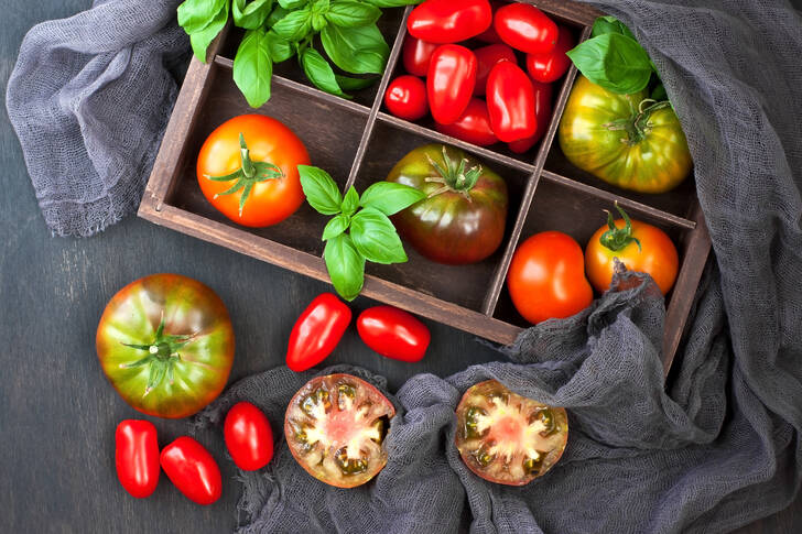 Tomaten in een houten kist