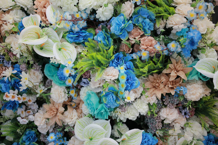 Fehér és kék virágok