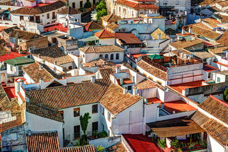 Rooftops of Cordoba