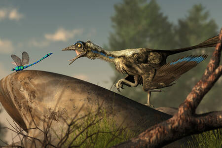 Archaeopteryx caça uma libélula