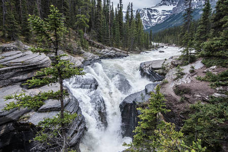 Chute d'eau dans les forêts du Canada