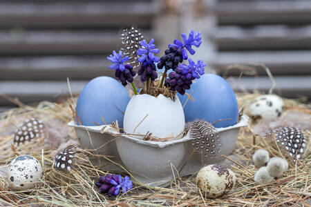 Blauwe eieren en hyacinten