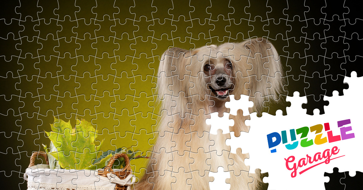 Cute Dog Puzzle 1000 Teile Rund Fur Erwachsene Und Produktbild-Vorschau 4
