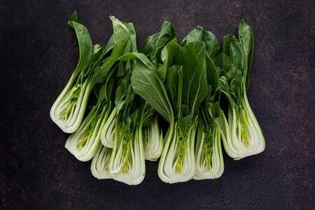 Bok choy pada latar belakang gelap