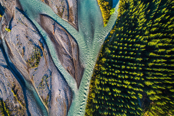 Aerial view of the river and forest