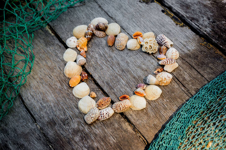 Heart made of shells on a wooden board