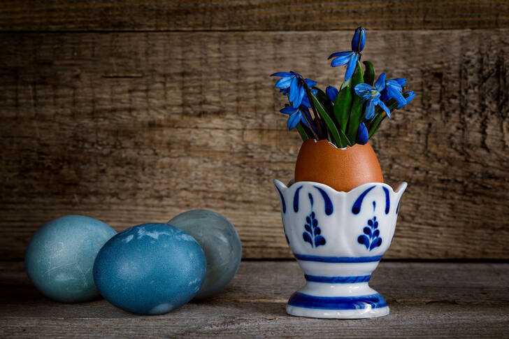 Sněženky ve vaječných skořápkách