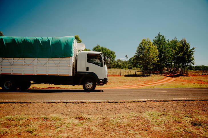 A truck on a country road