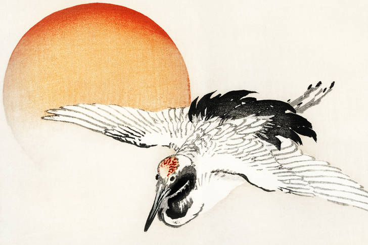 Kōno Bairei: "Andorinha do celeiro voador"