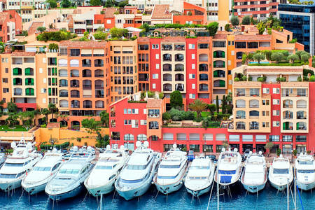 Yachts in the harbor of Monaco