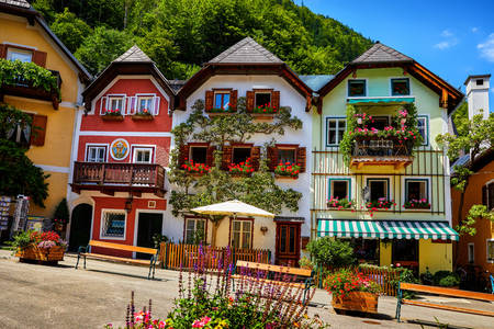Colorful houses in the Hallstatt community