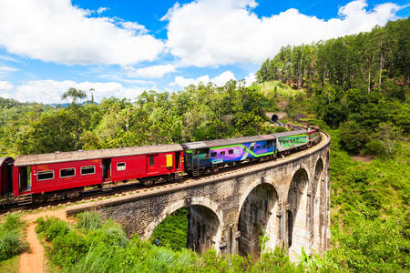 Поезд на мосту Демодара