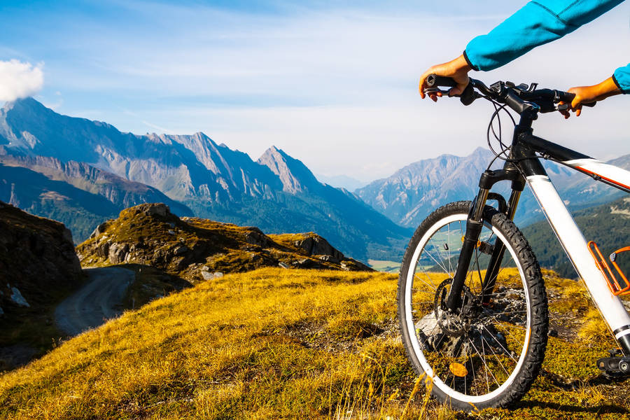 Sport Jigsaw Puzzles | Puzzle Garage