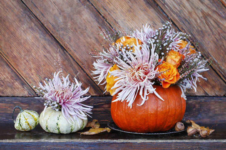 A bouquet of flowers in a pumpkin