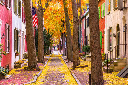 Autumn streets of Philadelphia
