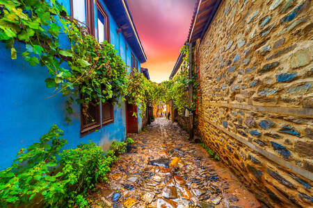 Ulica sa kamenim kućama