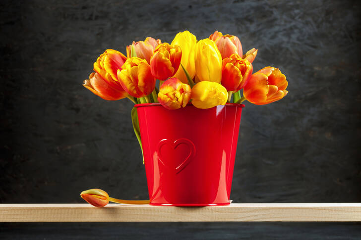Tulpen in een rode emmer