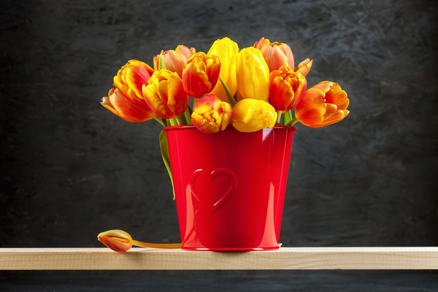 Tulipaner i en rød bøtte