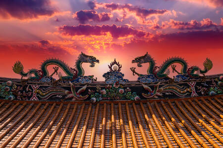 Dragons sur le toit