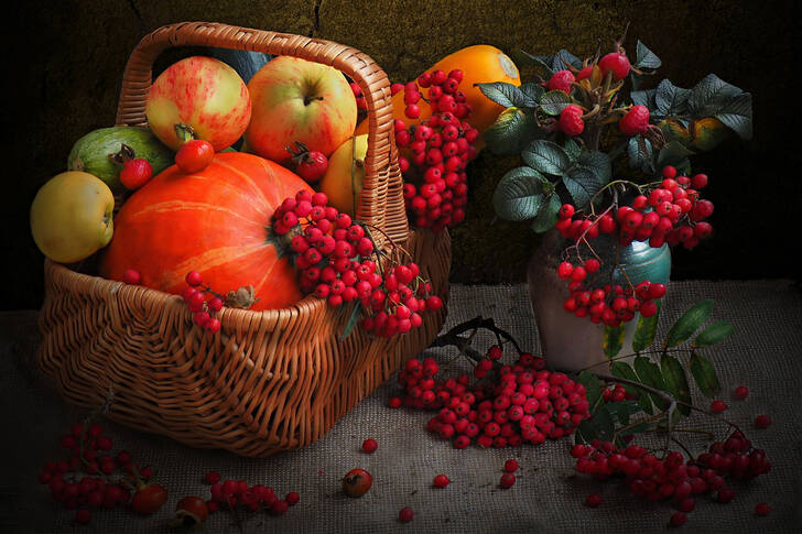 Basket with pumpkin, apples and rowan