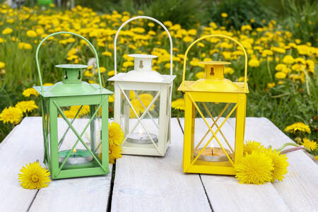 Lanterns and dandelions on the table