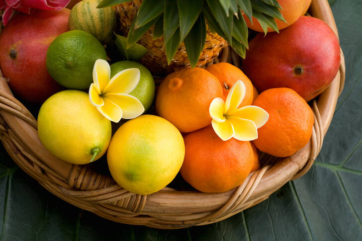 Košík s tropickým ovocem